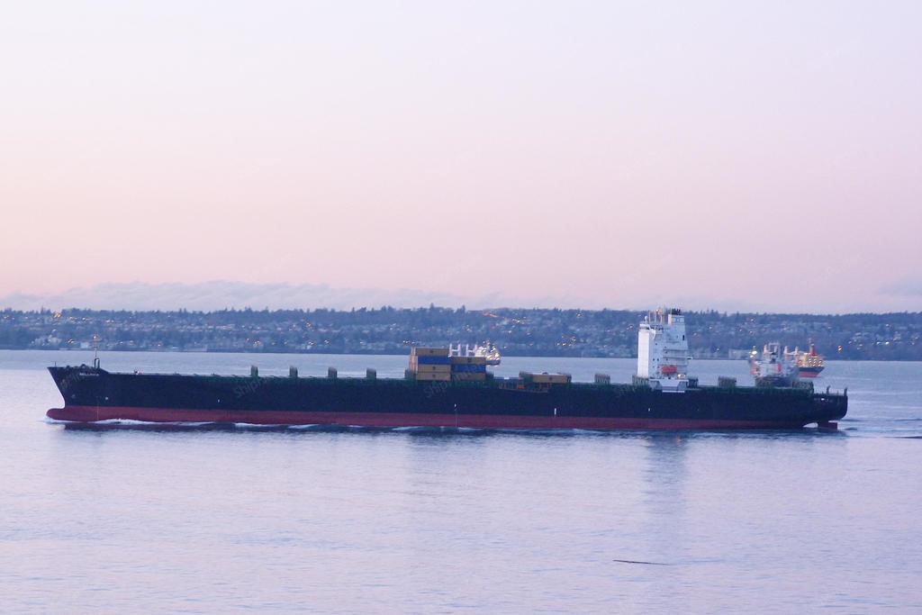 BELLAVIA, Container ship - Current position, specs & port calls - MMSI ...