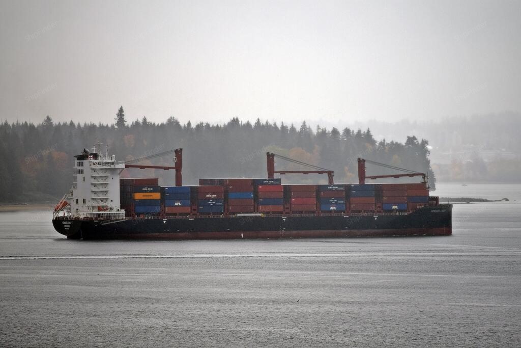 FIJI CHIEF, Container ship - Current position, specs & port calls ...